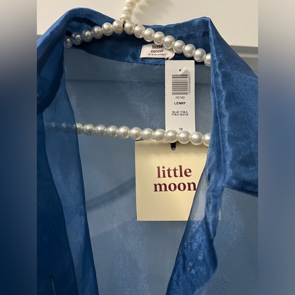 Womens Little Moon sheer blue organza dress from Aritzia - size 10 - NWT - Picture 6 of 16